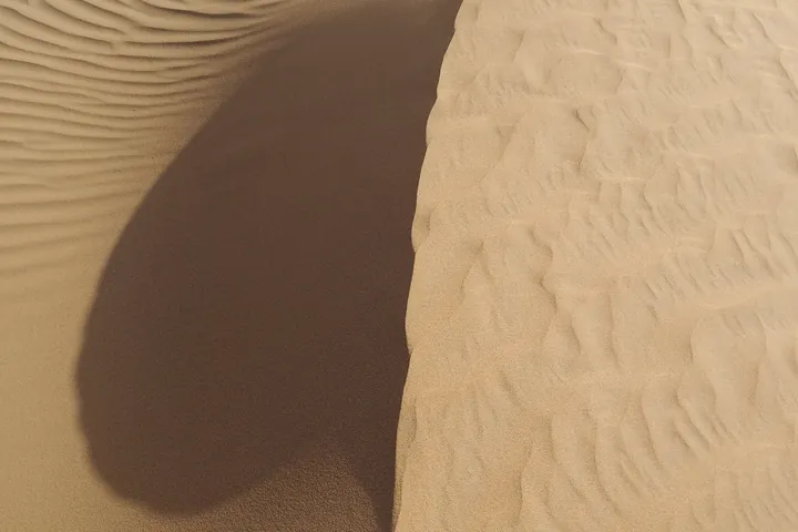 The curved crest of a pale sand dune casts a soft shadow in early light.